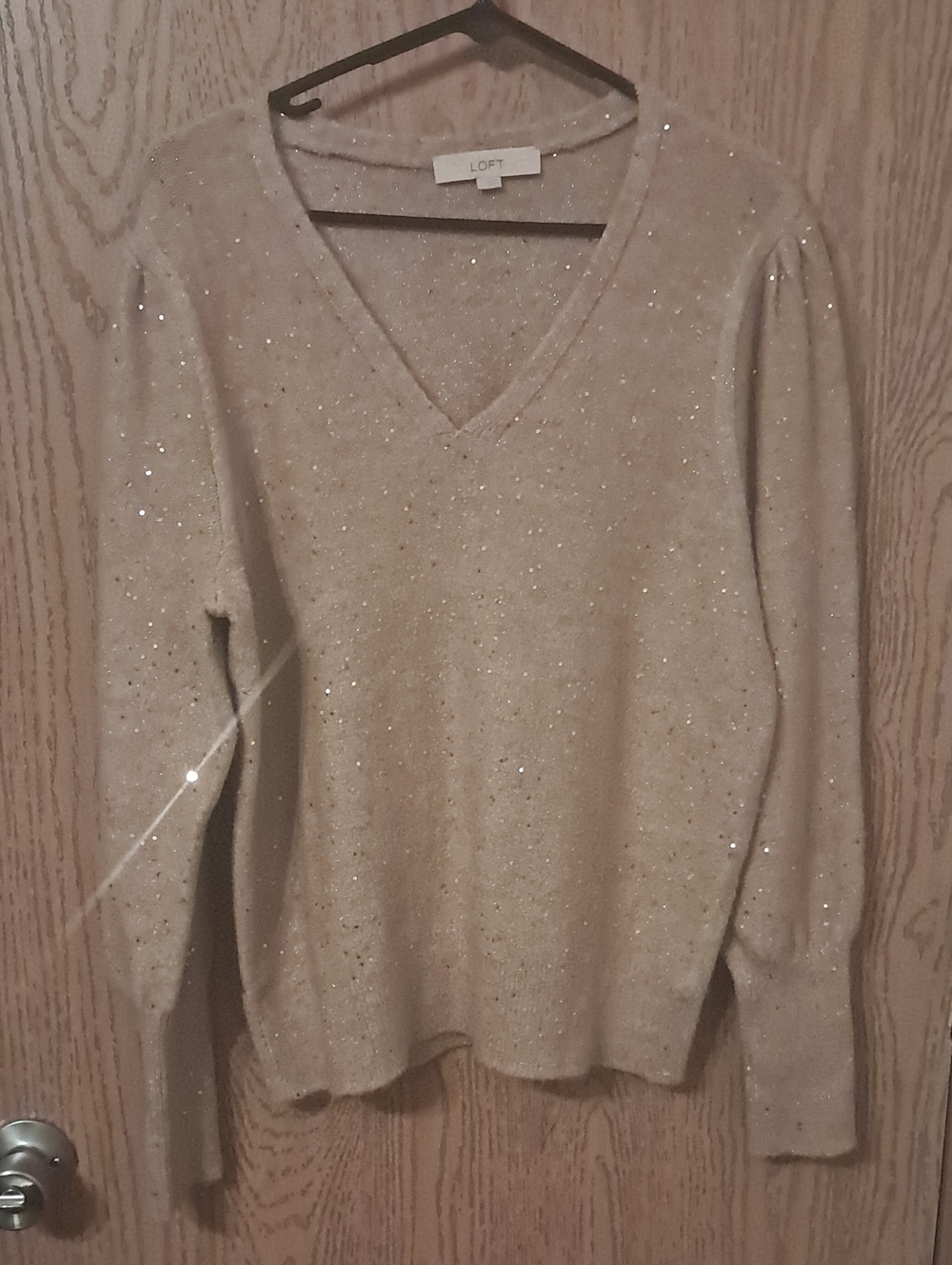 LOFT Cream Sparkle V-Neck Sweater Large